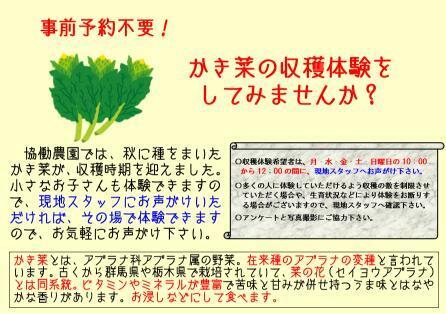 スクリーンショット (58).jpg